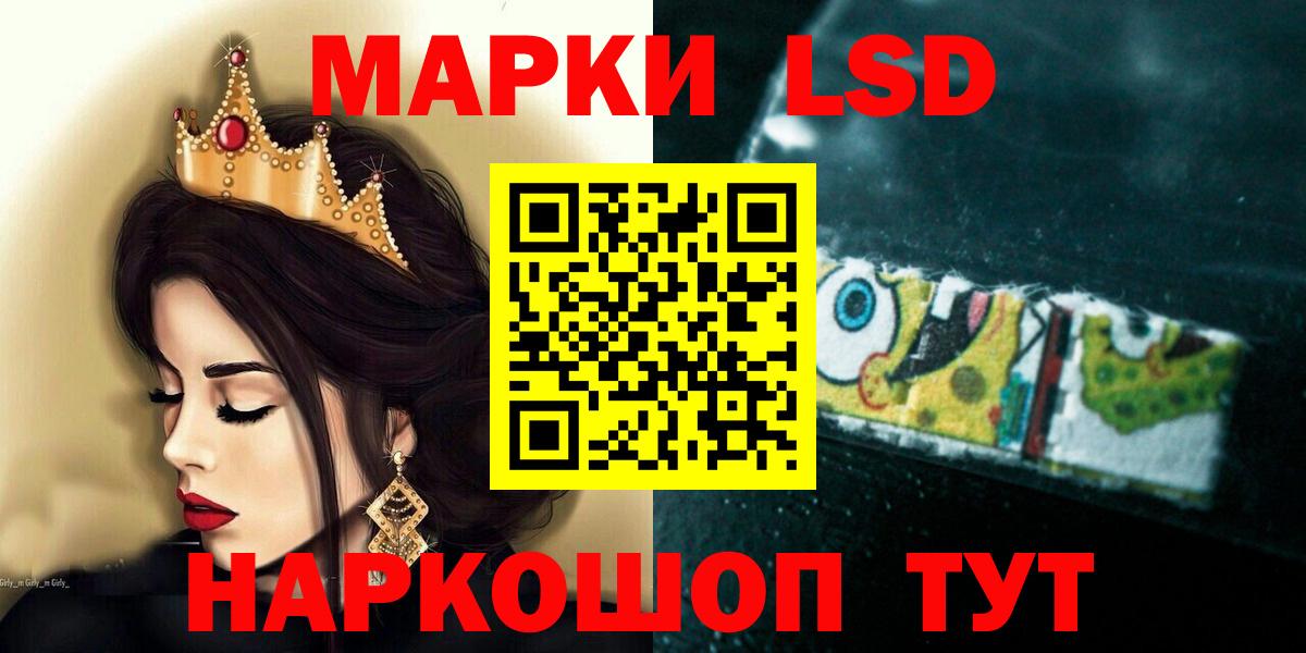 Альфа ПВП Мурманск