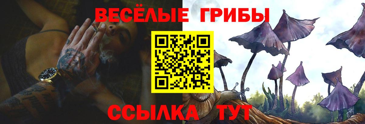 Галлюциногенные грибы Cubensis Мурманск